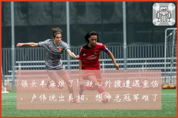 领头羊麻烦了！核心外援遭遇重伤，卢伟说出真相，想冲总冠军难了
